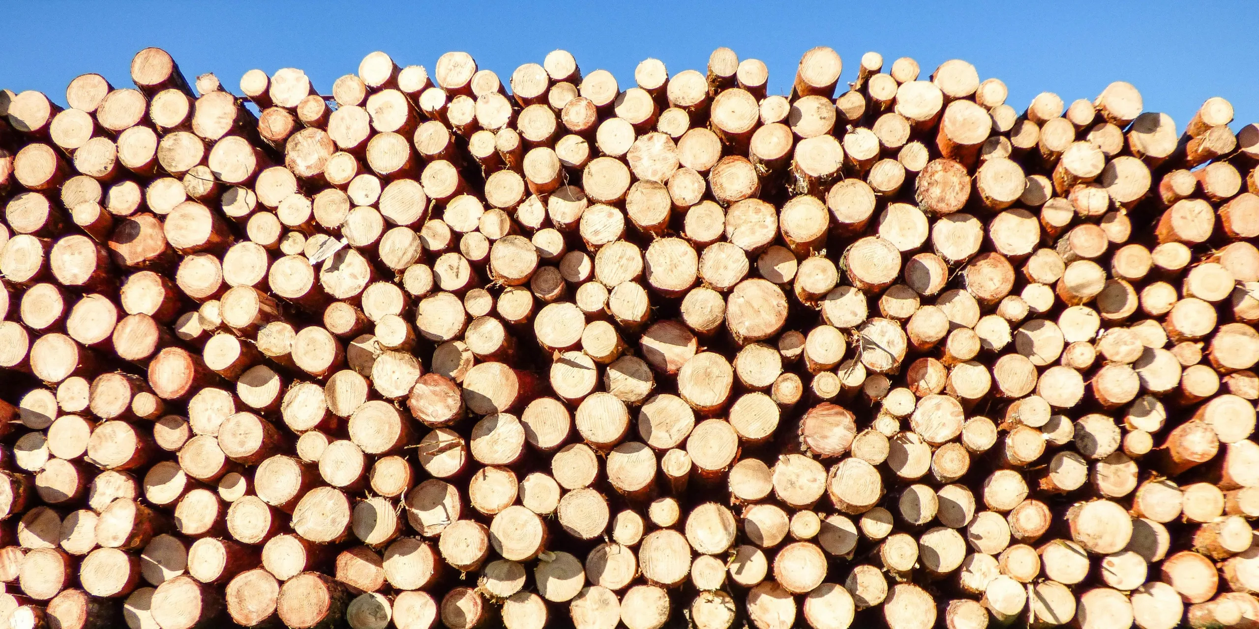 Ta i Trä hittade ett system som matchade kriterierna